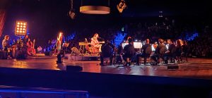 Auditório Simón Bolívar lota para ver cantor Tim Bernardes com orquestra em show do Coala Festival 2025.