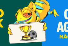 João Rock 2026 é adiado para não conflitar com jogos do Brasil na Copa do Mundo João Rock 2026 é adiado para não conflitar com jogos do Brasil na Copa do Mundo